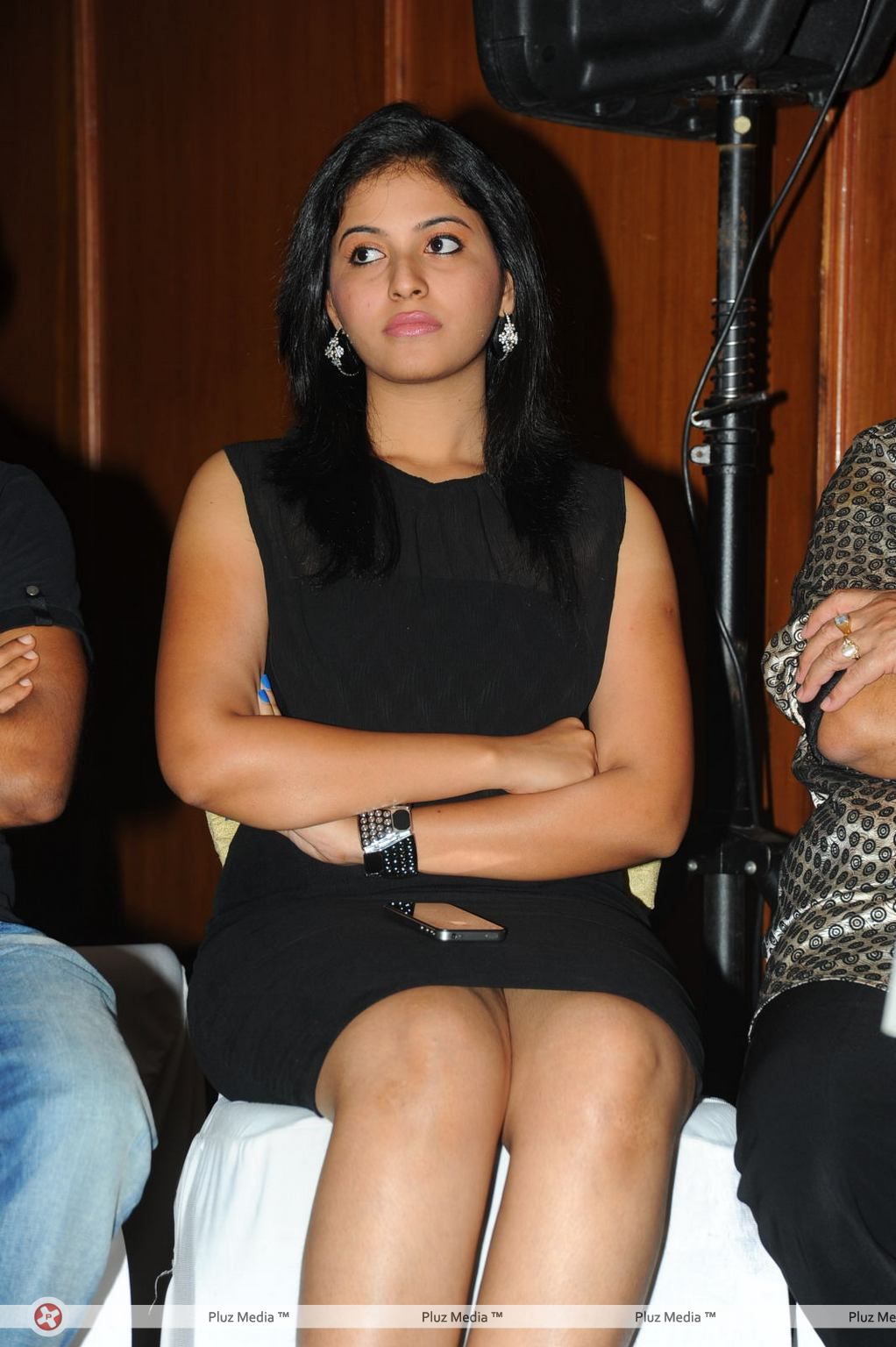 Anjali (Actress) - Journey Audio Launch - Pictures | Picture 127160